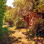 Corte Della Rusticuccia *