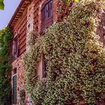 Corte Della Rusticuccia *