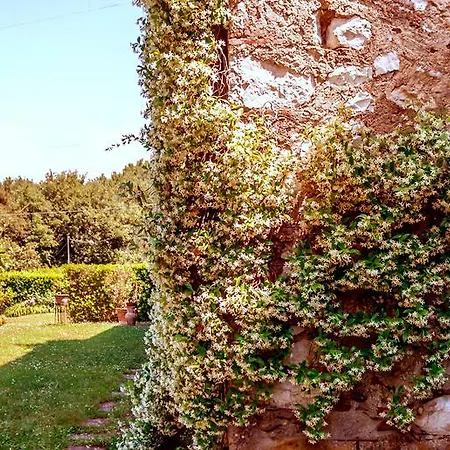 Corte Della Rusticuccia Lejlighed Lucca