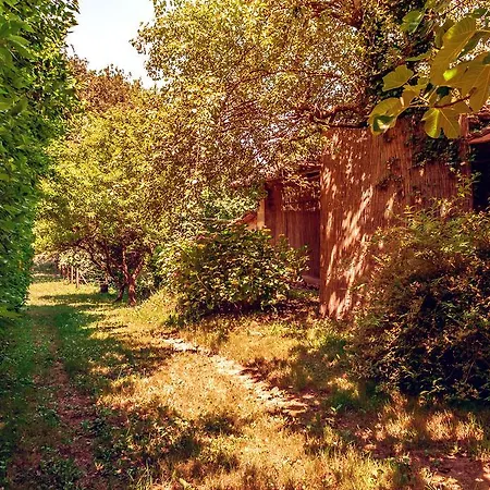 Corte Della Rusticuccia *