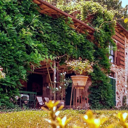 Corte Della Rusticuccia Lucca