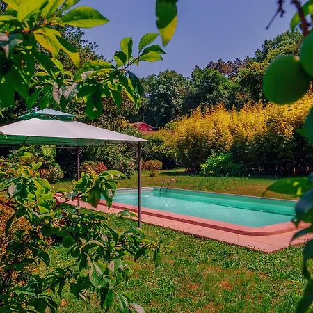 Corte Della Rusticuccia * Lucca