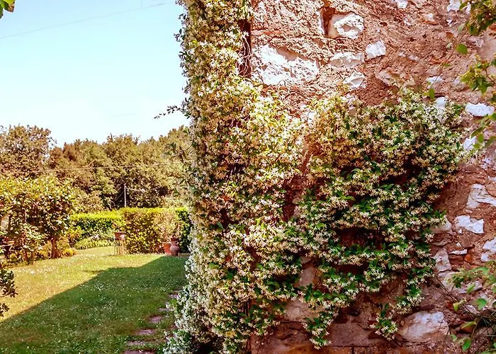 Corte Della Rusticuccia Διαμέρισμα Λούκα