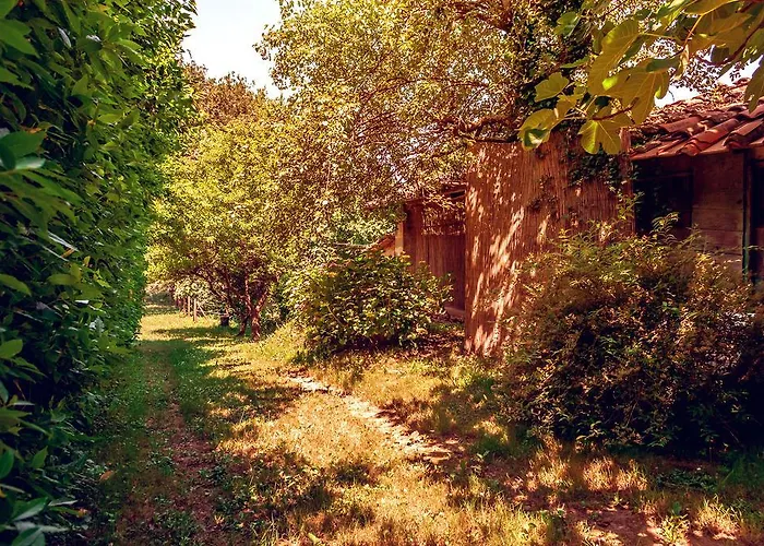 Corte Della Rusticuccia *