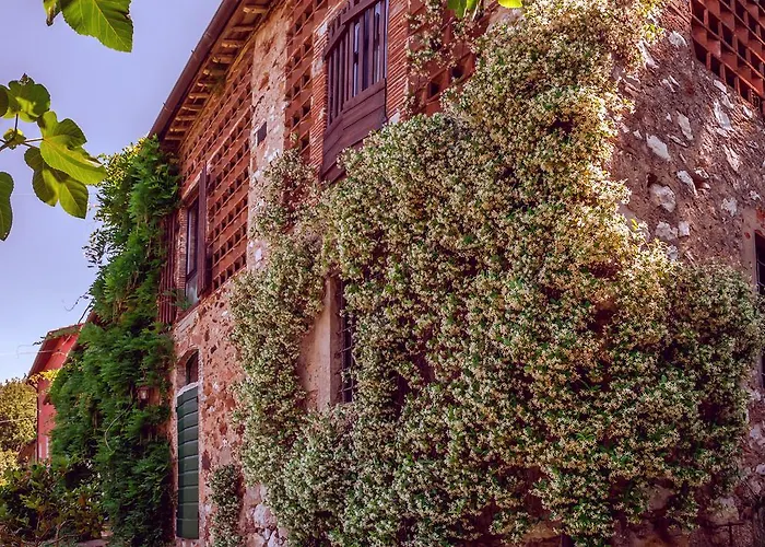 Corte Della Rusticuccia *